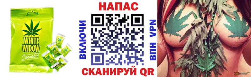 где продают   mega сайт  Печенье с ТГК марихуана  Приозерск 