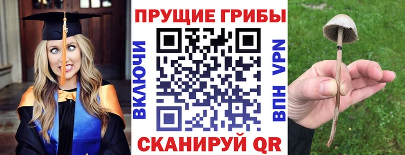 Псилоцибиновые грибы прущие грибы Приозерск